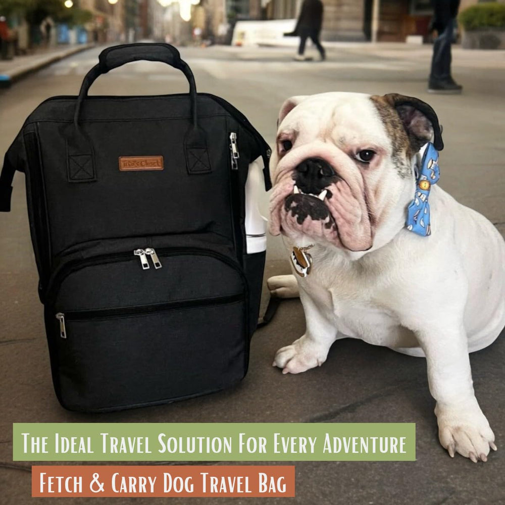 Tito's Closet dog food containers doubles as fresh kibble storage during trips