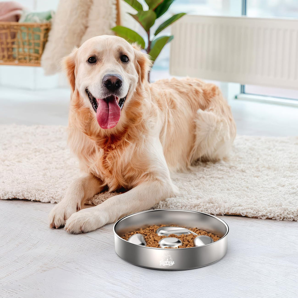 Tivray cuenco patrón alimentación lenta facilita comer pausadamente y mantiene el área limpia
