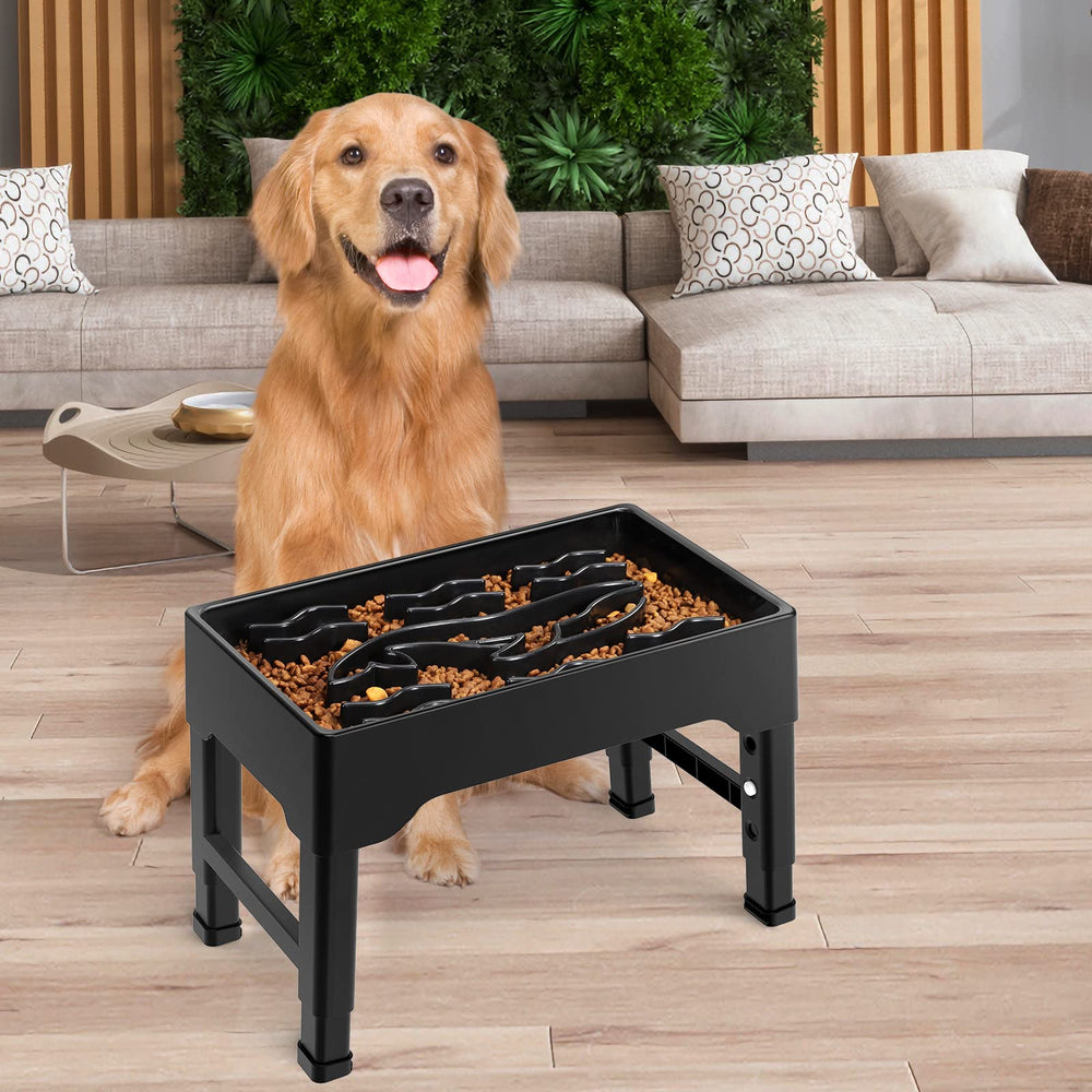 Tivray raised bowl fits medium to large breeds and reduces strain during feeding