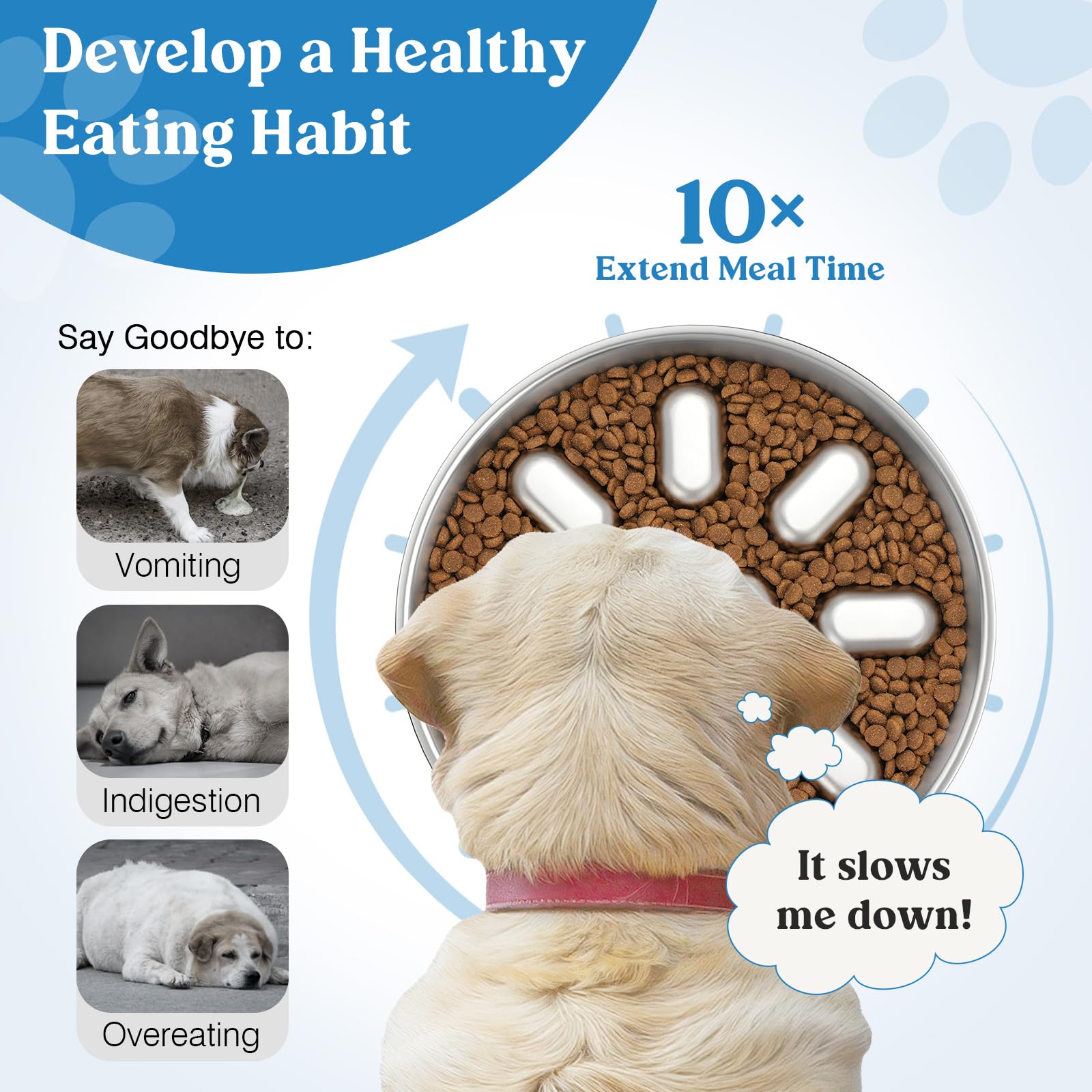 Tivray plato de doble cara para perros, facilita dos usos diferentes.