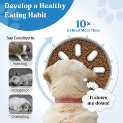 Tivray plato de doble cara para perros, facilita dos usos diferentes.