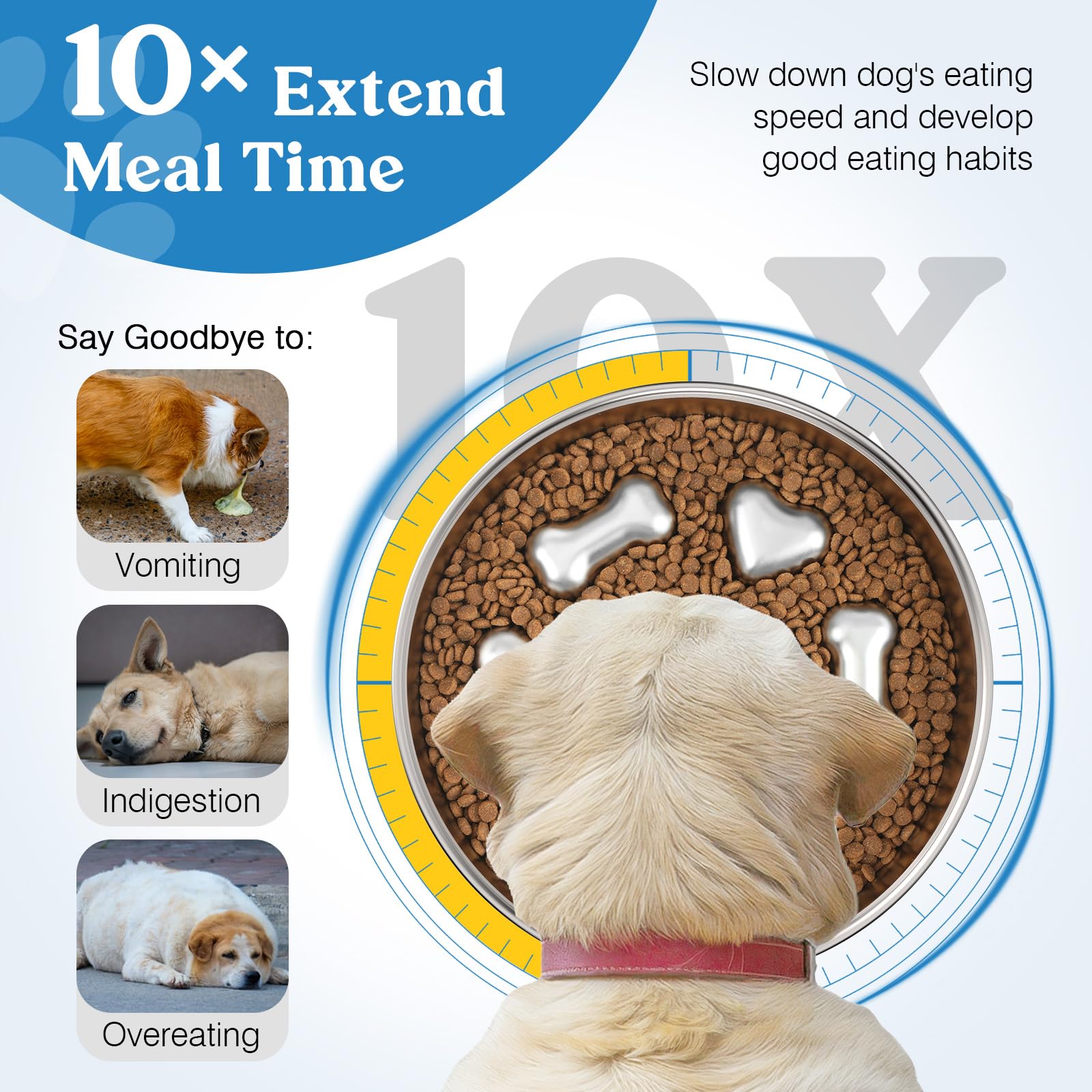 Tivray stainless-steel dog bowl offers rust-free durability and easy cleaning.
