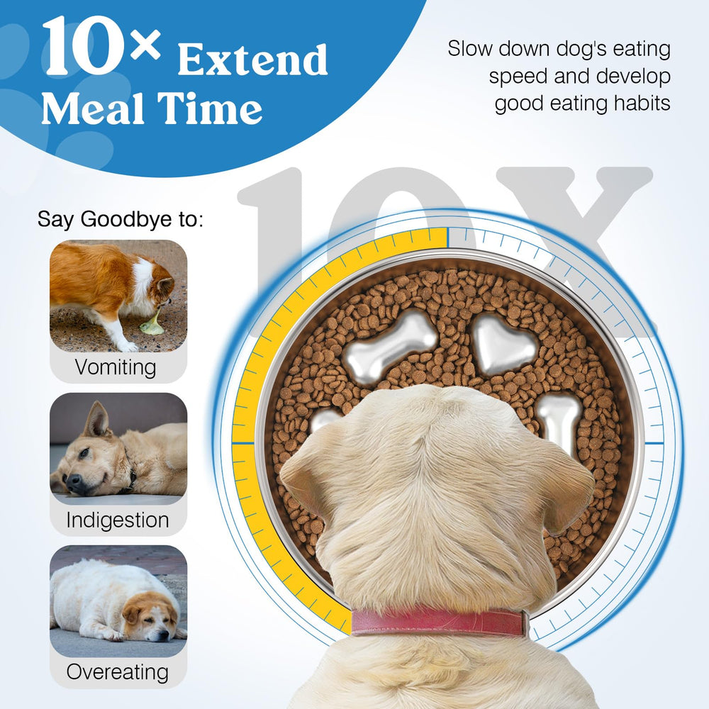 Tivray stainless-steel dog bowl offers rust-free durability and easy cleaning.