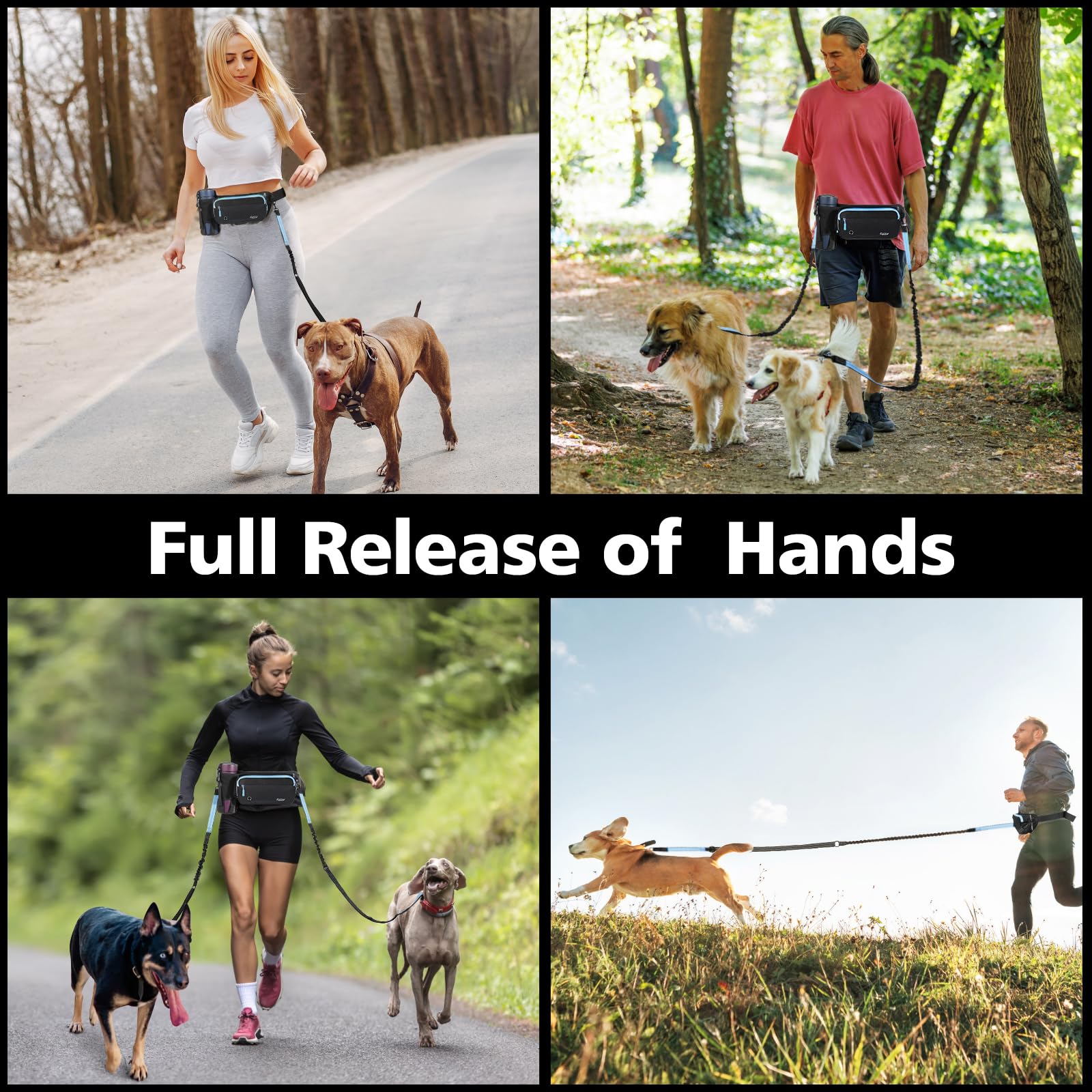 Tivray two-dogs walking in park demonstrates hands-free control and coordinated pacing.