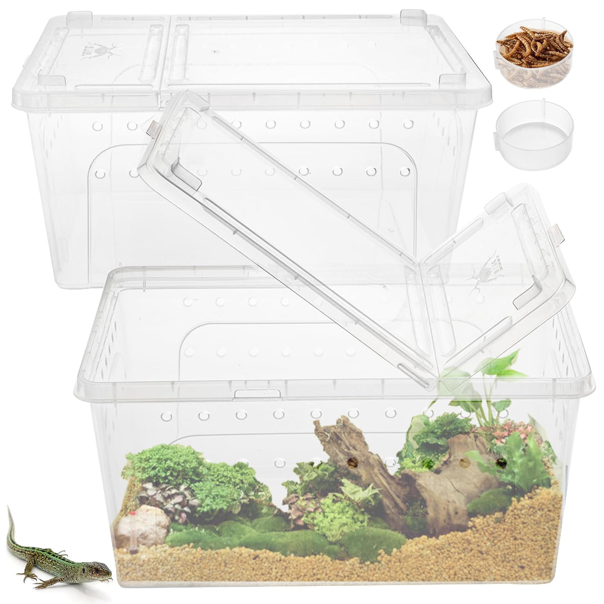 Tlence 2Pack feeding boxes front view highlights compact, transport-friendly housing for reptiles.