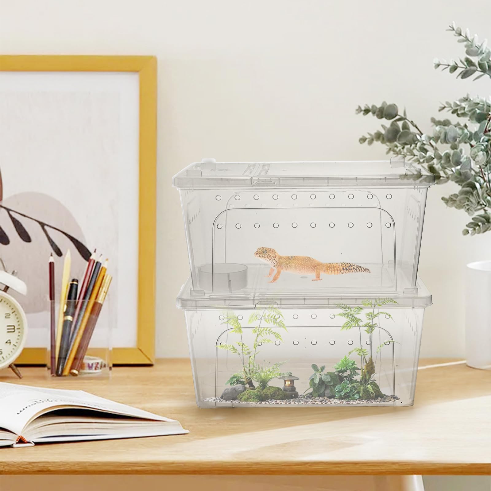 Tlence interlocking tabs enable stable, collapse-free stacking.