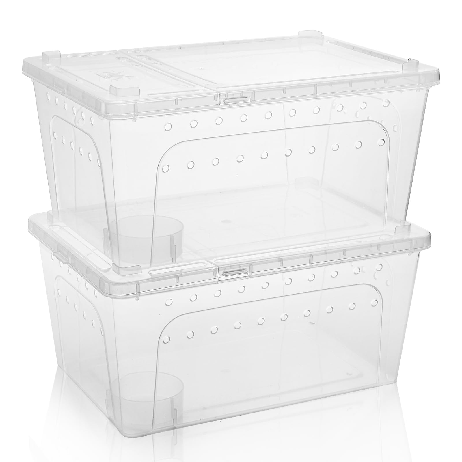 Tlence multi-species box suits snakes, frogs, lizards, and more.