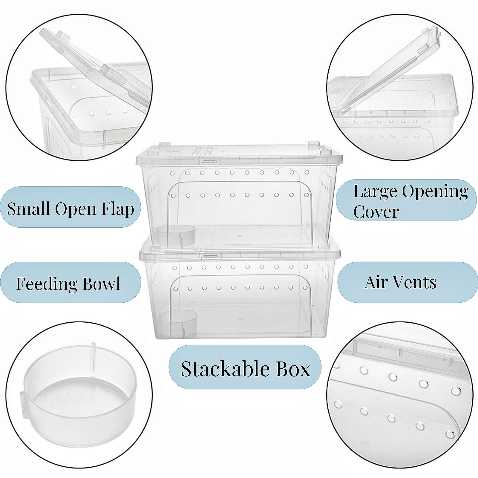 Tlence reptile box lid-open design demonstrates easy feeding access and handling.