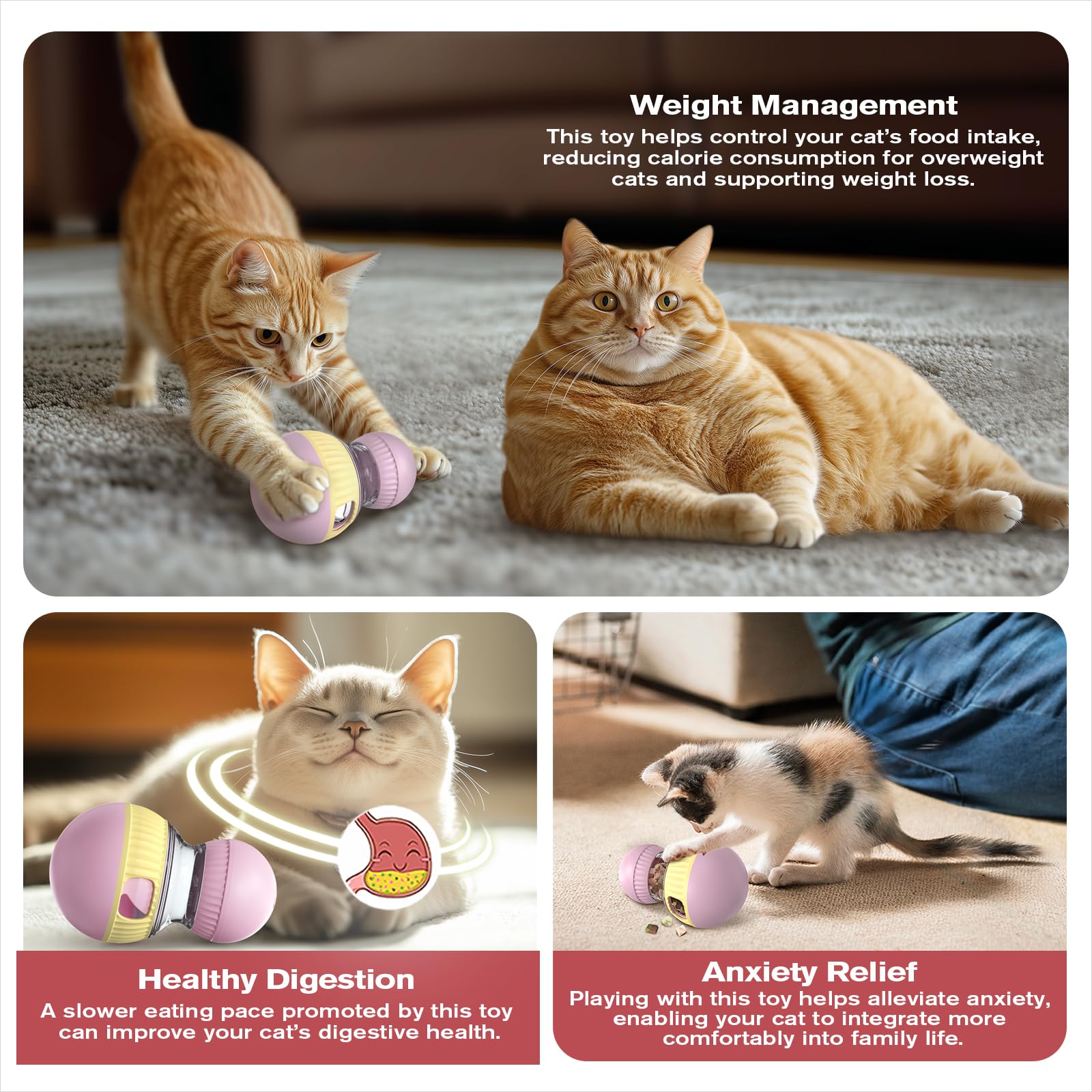 TLKNG enrichment toy for indoor cats supports active minds and healthy movement.