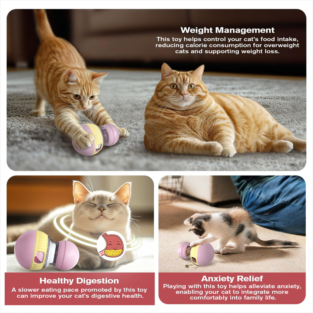 TLKNG enrichment toy for indoor cats supports active minds and healthy movement.