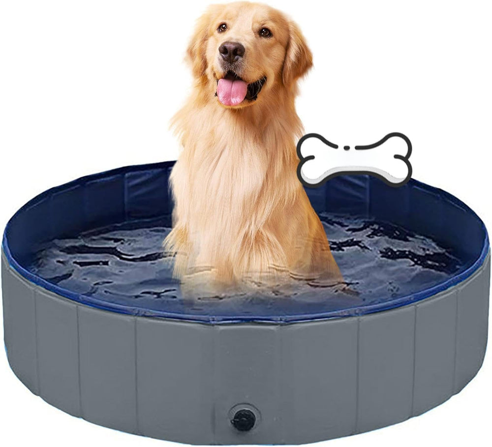 TMbsfatn dog pool foldable setup shows easy portability for outdoor play