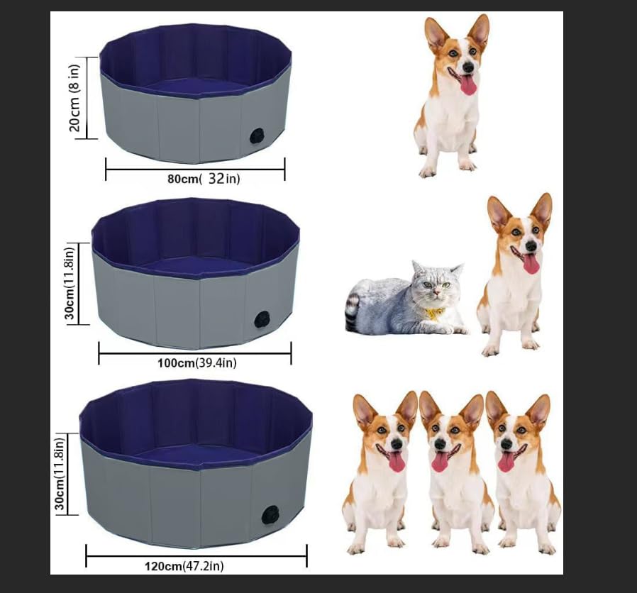 TMbsfatn dog pool spiral drain in action enables fast water release