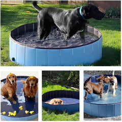 TMbsfatn pvc non-slip-bottom helps pets stay steady