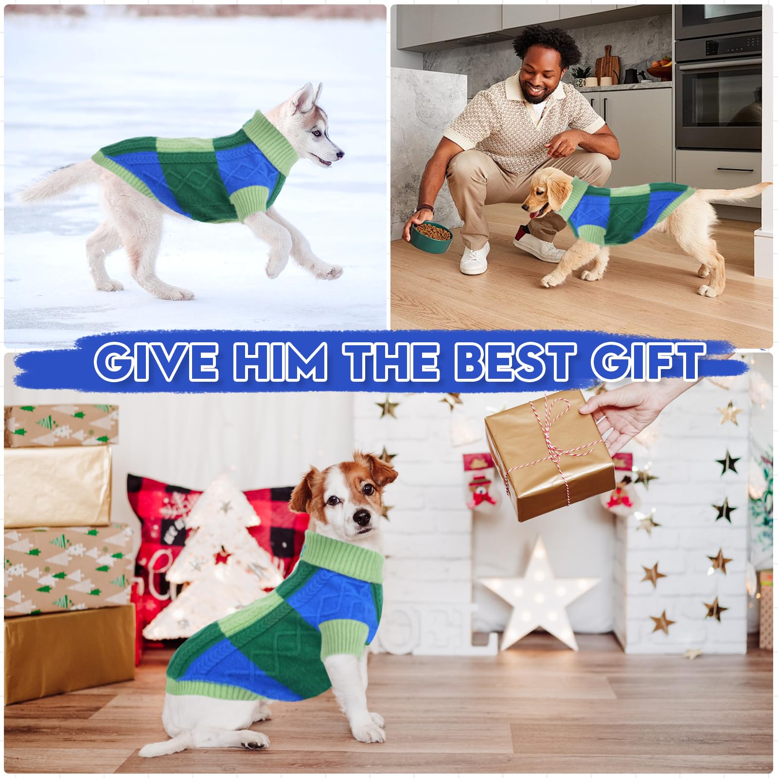 To a Turn dog sweater daily wear photoshoot showcases versatile style
