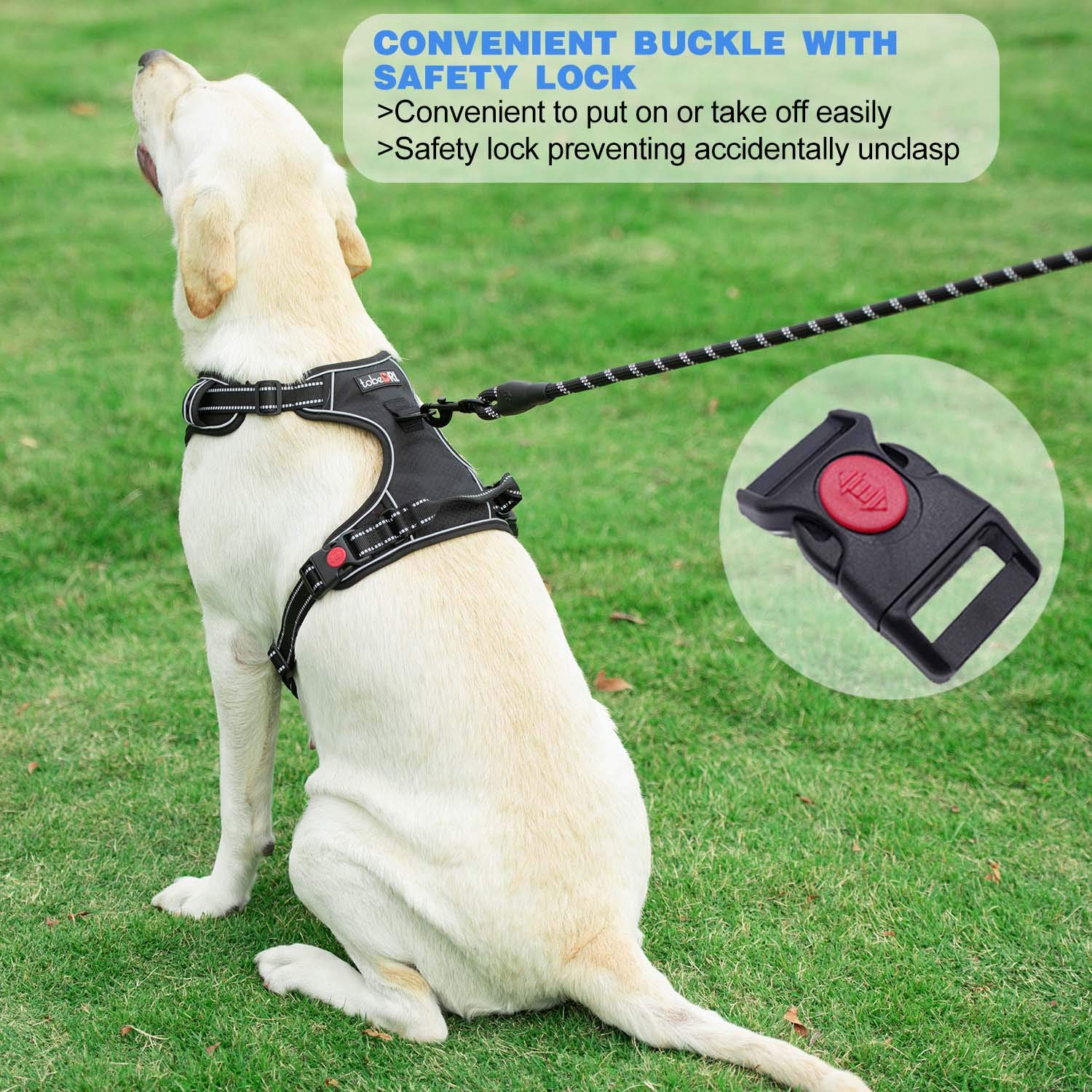 tobeDRI harness reflective stitching image demonstrates night-visible safety.