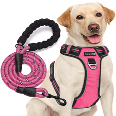 tobeDRI no pull harness front clip for controlled walking
