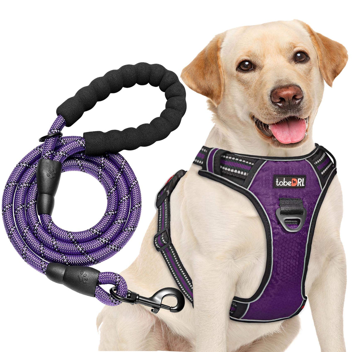 tobedri no pull harness front view shows front clip for control during walks