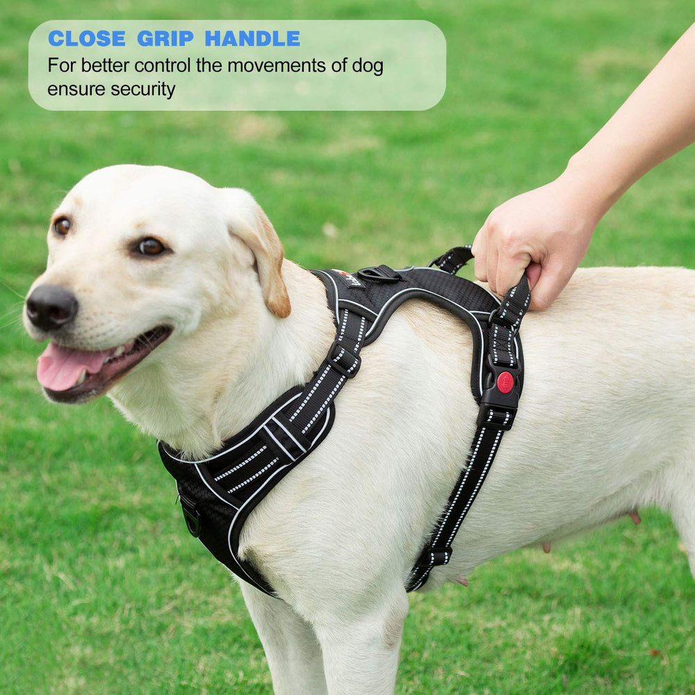 tobeDRI reflective stitching night view improves visibility during evening walks