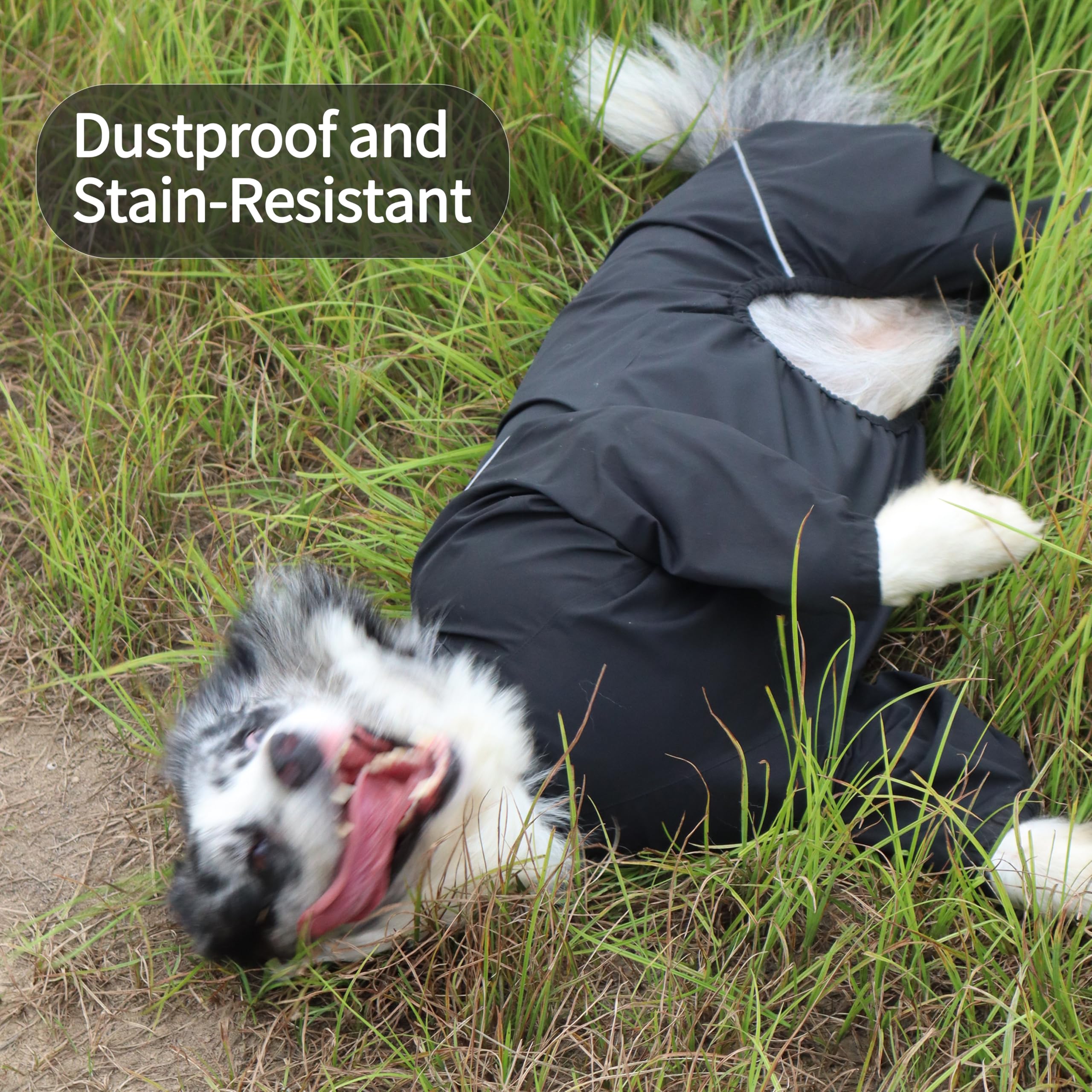 TOBOSS raincoat activity-fit keeps active dogs comfortable and unimpeded