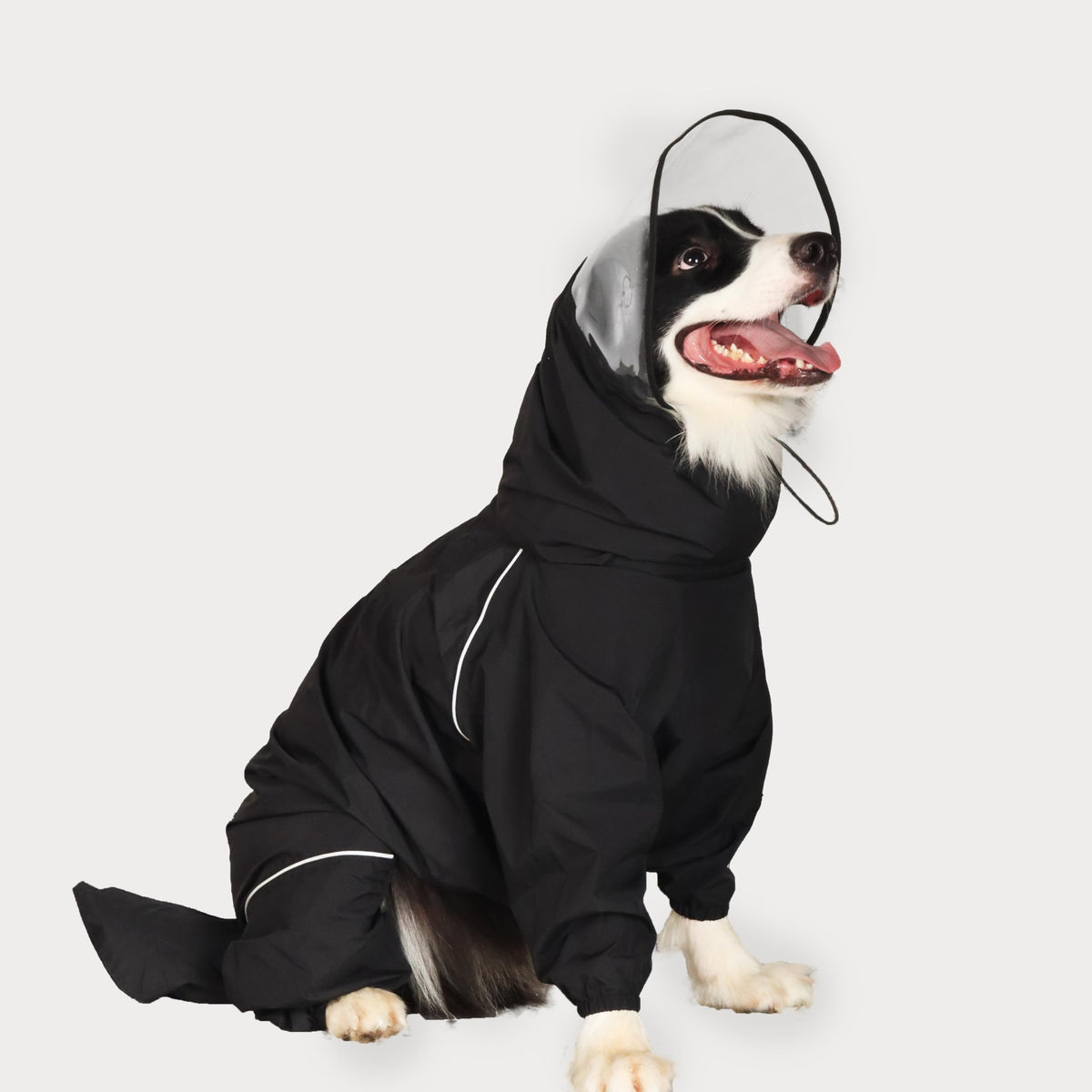 TOBOSS dog raincoat full-coverage back view delivers full protection during rainy walks