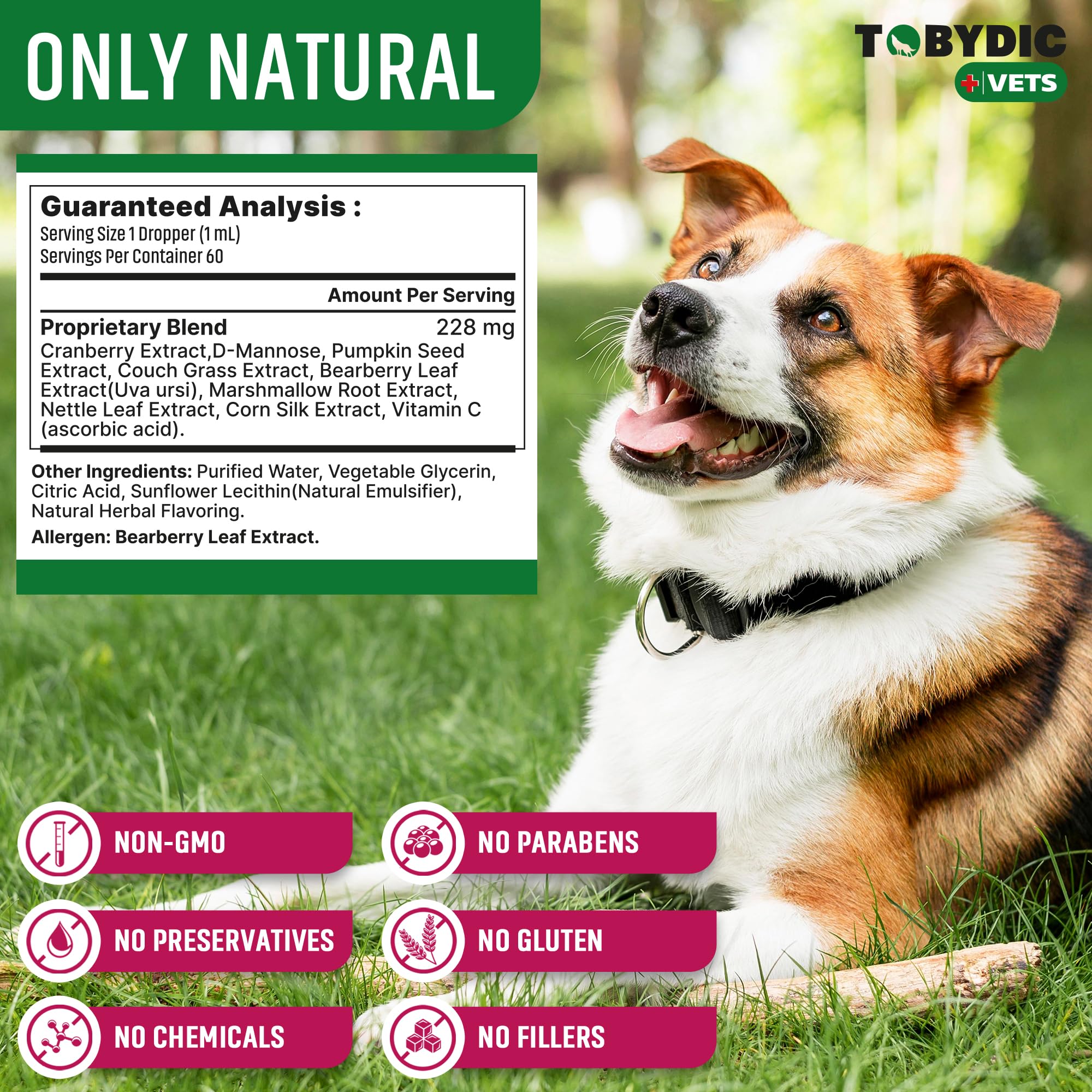 TOBYDIC pet-health-wellbeing image conveys overall vitality and renal-friendly care