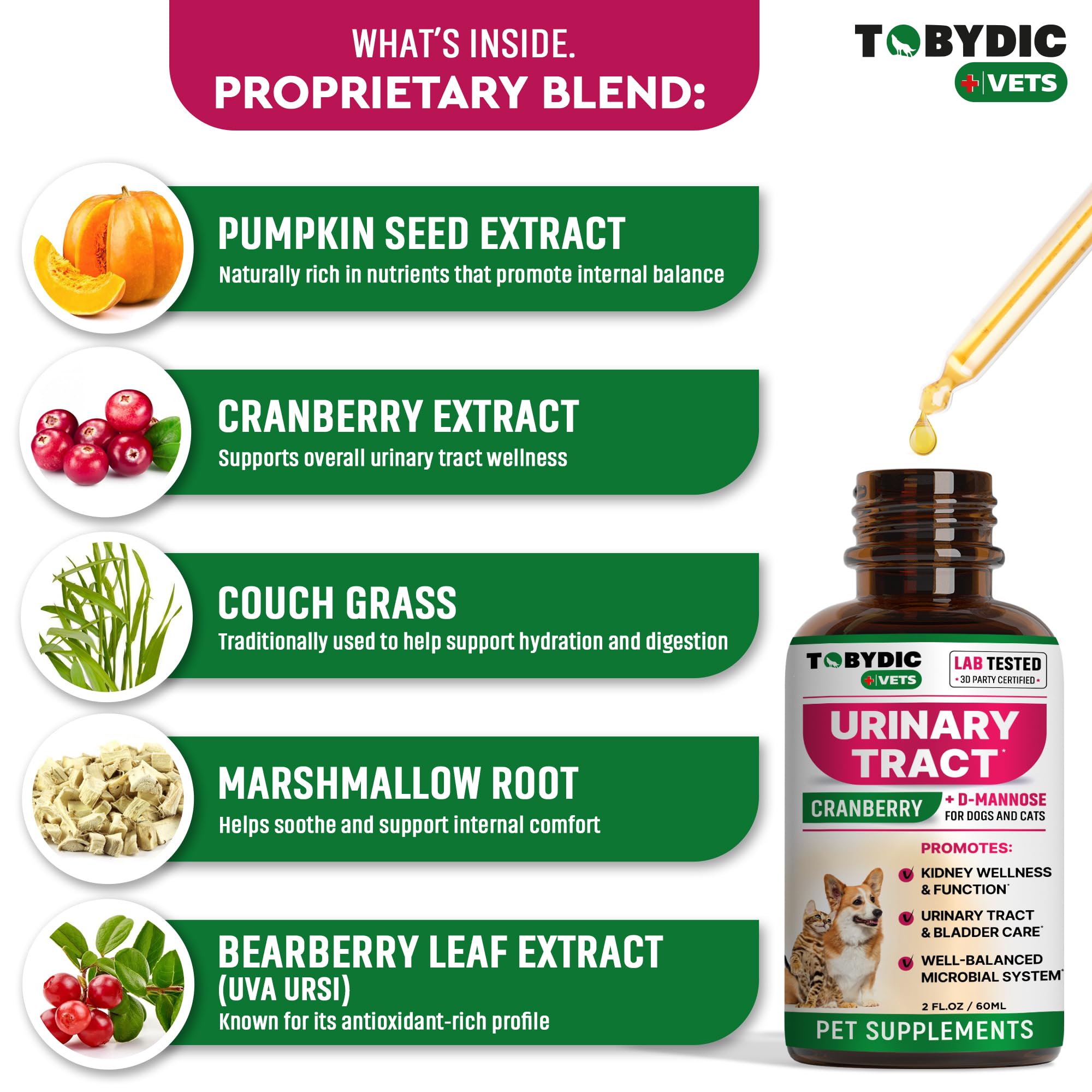 TOBYDIC urinary-tract-support illustration communicates bladder comfort and healthier urination