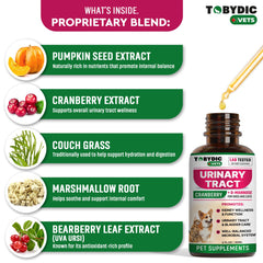 TOBYDIC urinary-tract-support illustration communicates bladder comfort and healthier urination