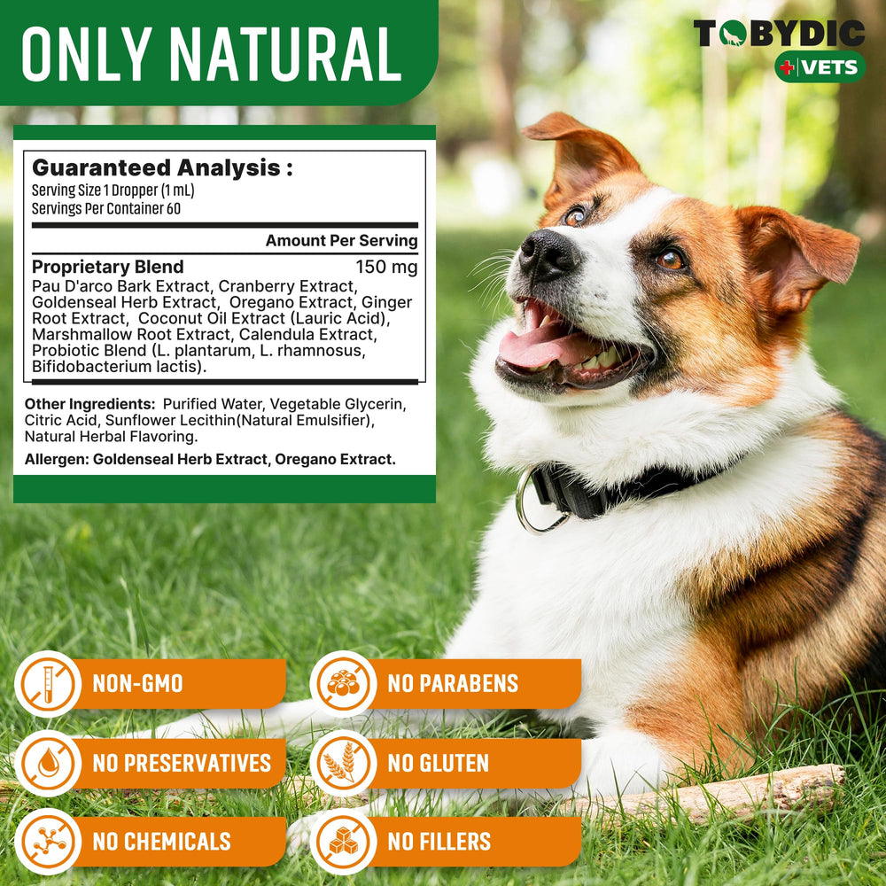 TOBYDIC usage scene with pet owner depicts easy home care routine