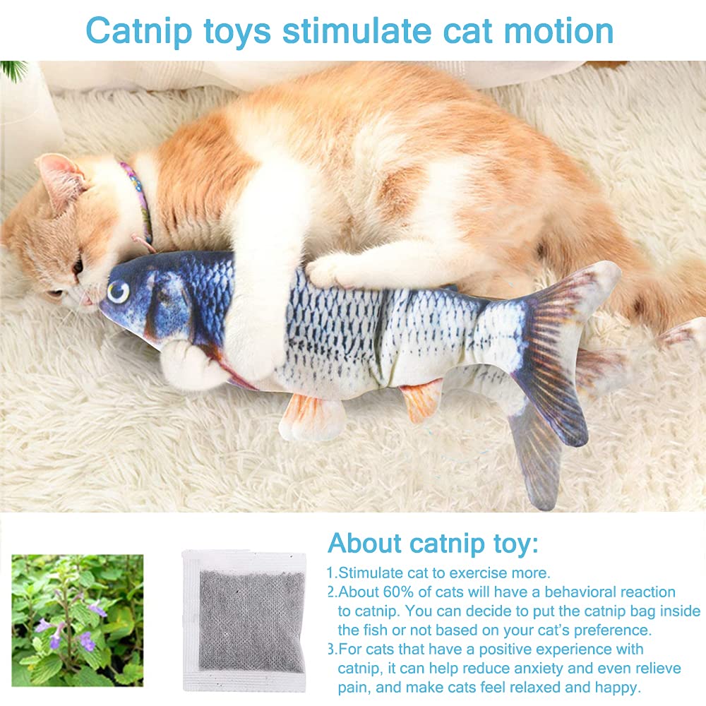 Tocirelo pez catnip aromático que invita a explorar