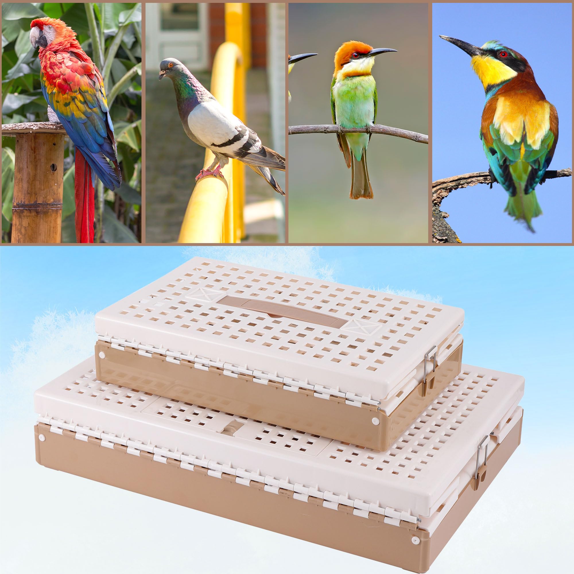 TOHONGADON pigeon cage observation-grid view lets you monitor birds.