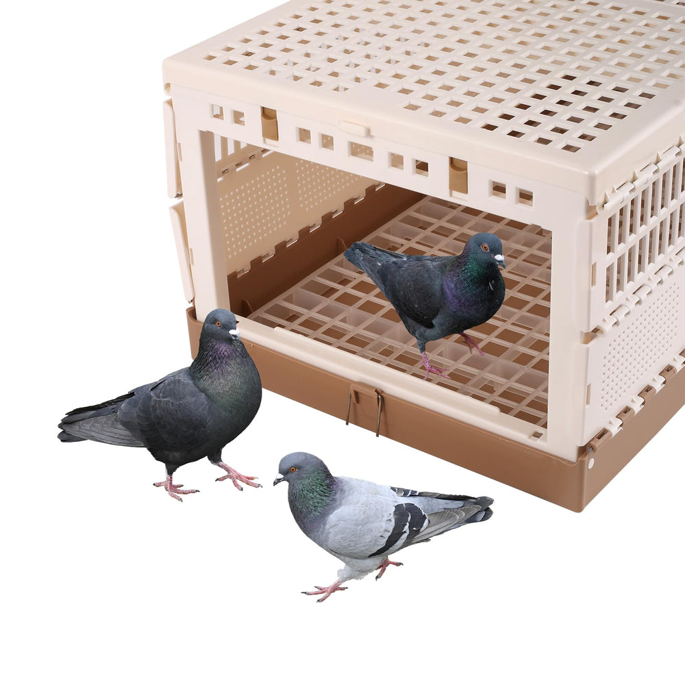 TOHONGADON pigeon cage XL size supports 12–18 birds.