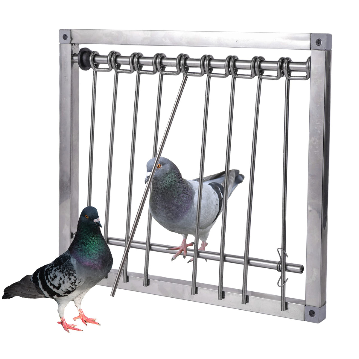 TOHONGADON pigeon-trap-door stainless-steel frame entrance demonstrates durable one-way entry