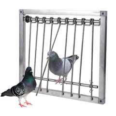 TOHONGADON pigeon-trap-door stainless-steel frame entrance demonstrates durable one-way entry