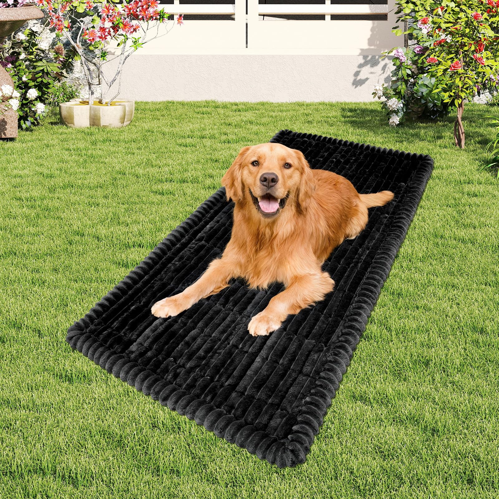 Tokameiu multi-functional dog bed rolls up for easy transport