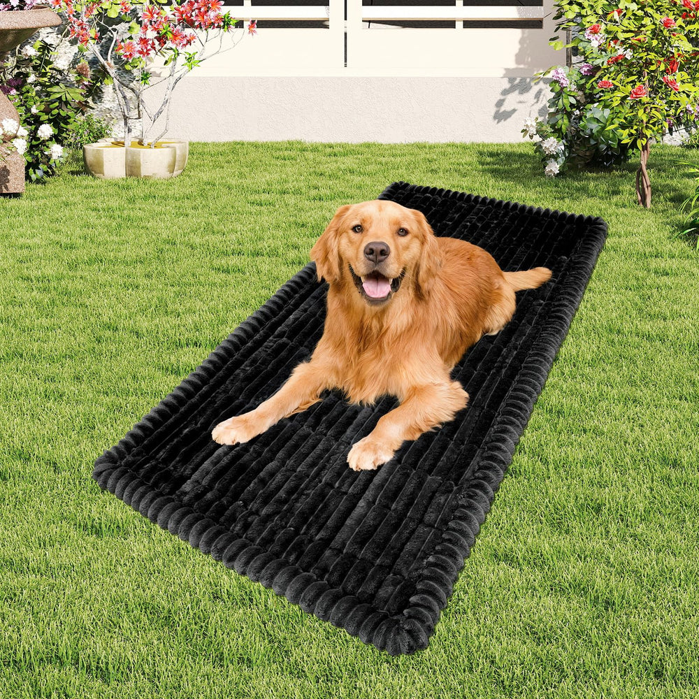 Tokameiu multi-functional dog bed rolls up for easy transport