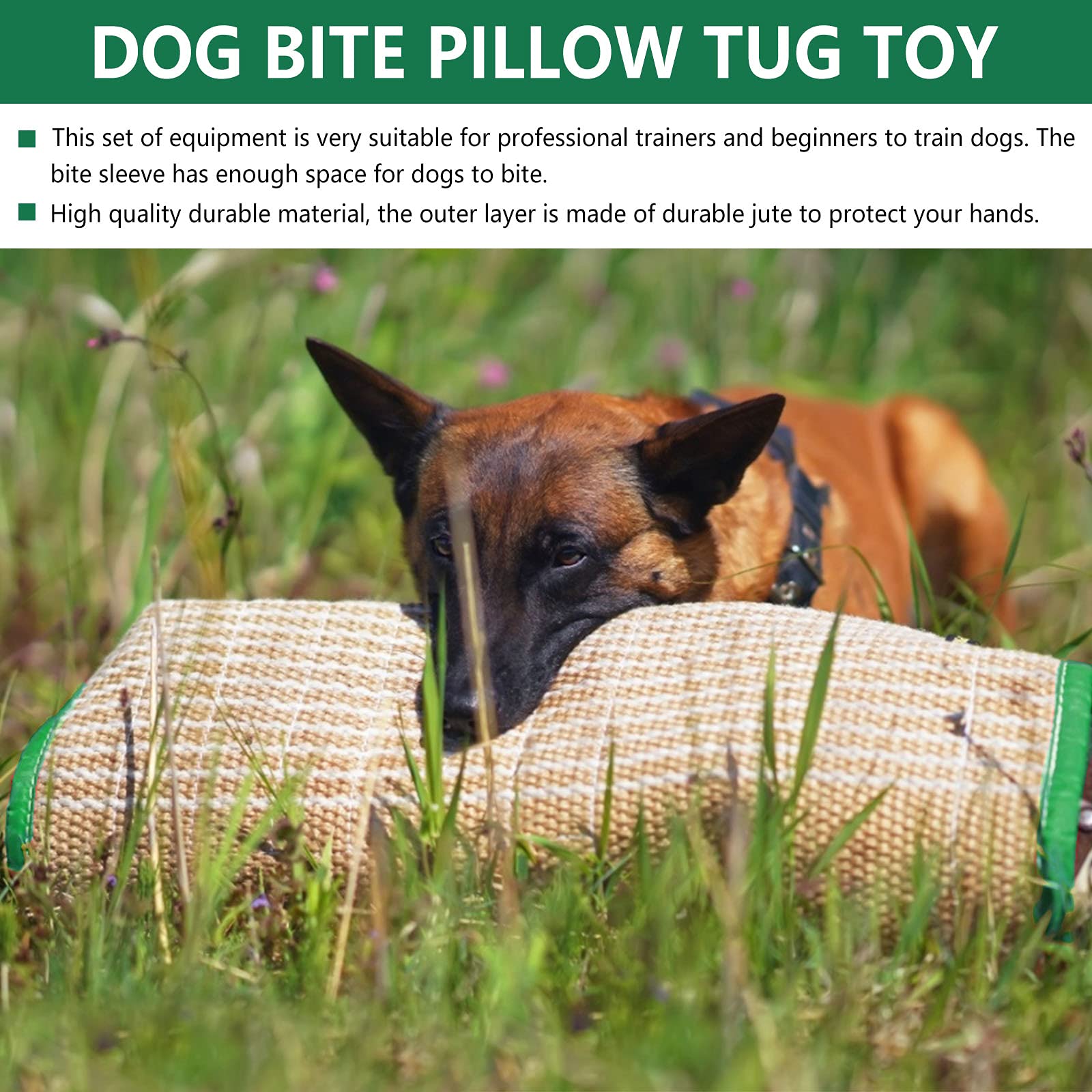 ToLanbbt IPO/Schutzhund prep scene with focused play and skill transfer.