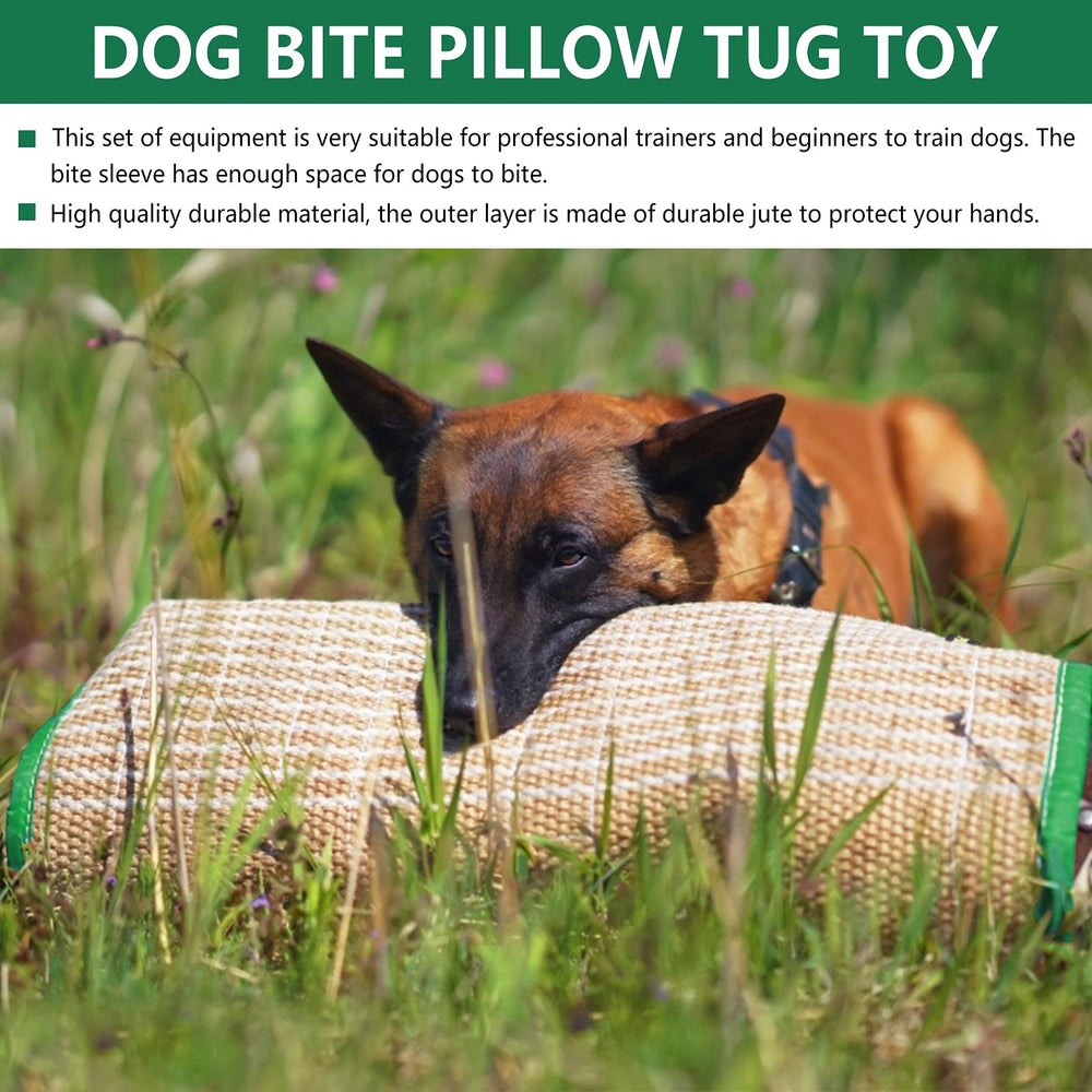 ToLanbbt IPO/Schutzhund prep scene with focused play and skill transfer.