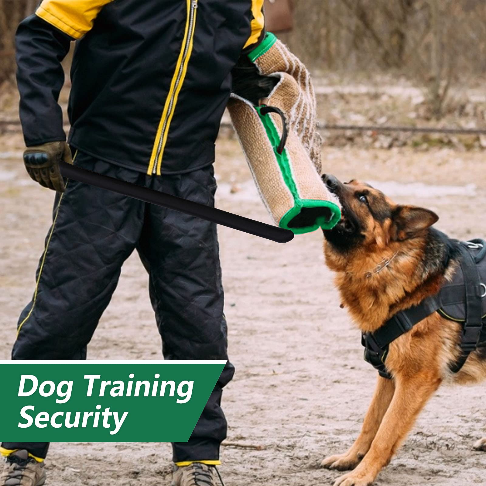 ToLanbbt ring sport session with engaging training tools.