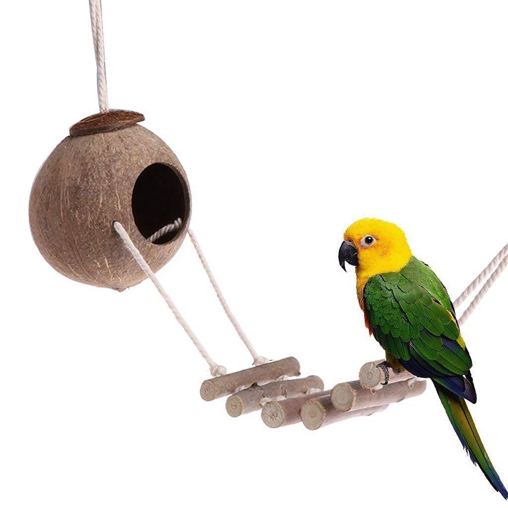 Tolmiow natural coconut hideaway with ladder encourages foot dexterity and curiosity.