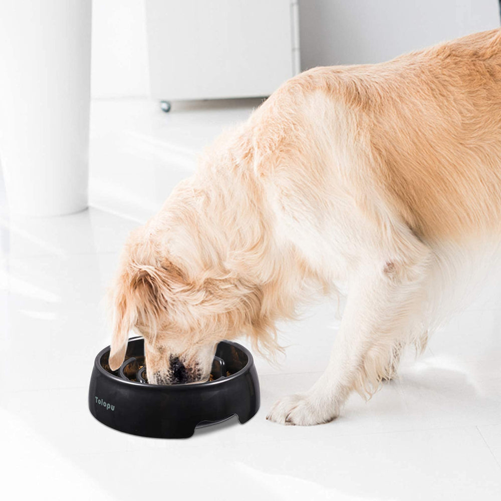 Tolopu glossy ABS surface emphasizes easy cleaning and durability