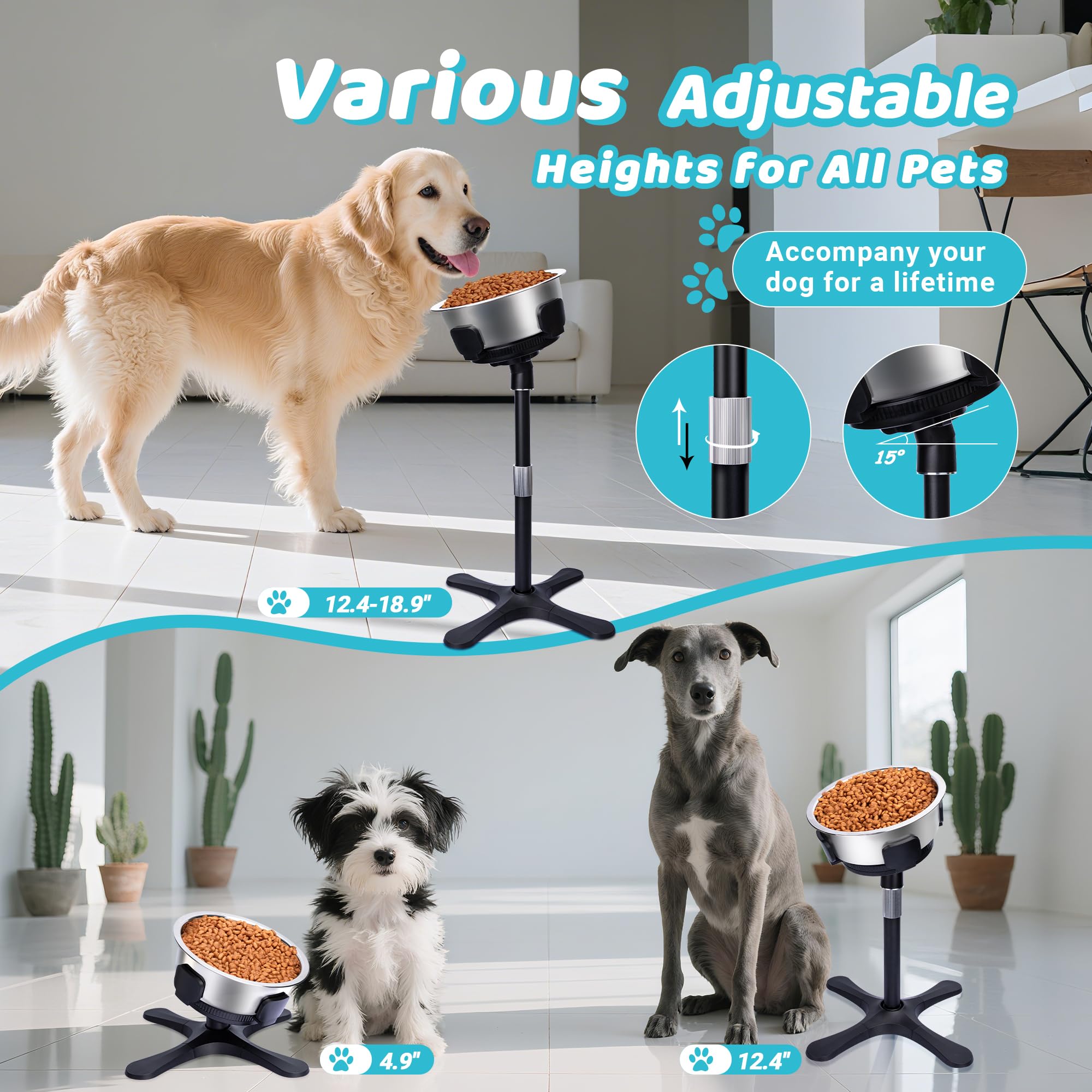 Tolopu elevated dog bowl adjustable height and width for growing dogs.