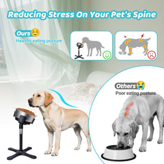 Tolopu elevated dog bowl is easy to assemble and disassemble for travel.