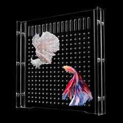 Tolstou fish tank divider adjustable width fits a 10-gallon long tank for flexible layouts