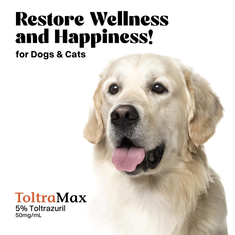 ToltraMax dog-cat-horse-friendly-care: supports multi-species veterinary care.