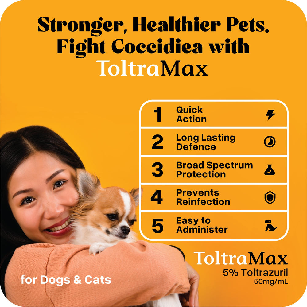 ToltraMax Toltrazuril for dogs: simple oral dosing option.