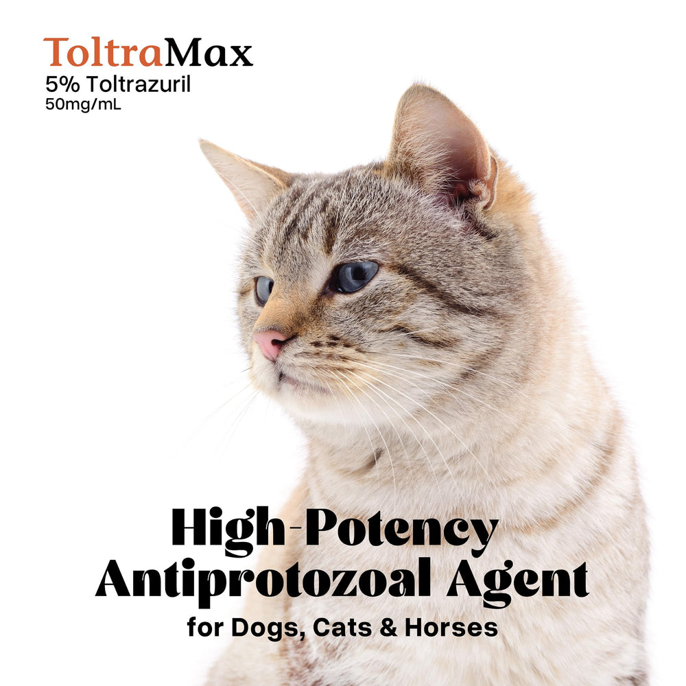ToltraMax packaging highlights the 240 mL bottle