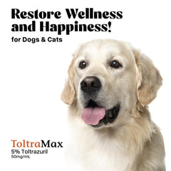 ToltraMax Toltrazuril supports goats and livestock health routines