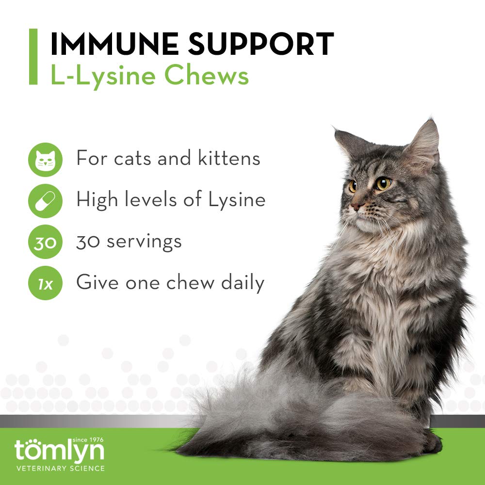 Fish-flavored chews shown as a tasty daily treat for cats.