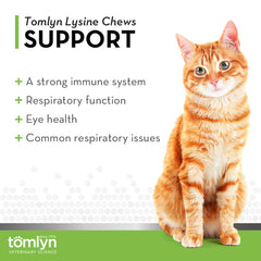 Tomlyn lysine chews in fish flavor shown as cat-friendly daily snack.