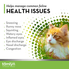 Two chews daily dosing image emphasizes 1000 mg Lysine intake.